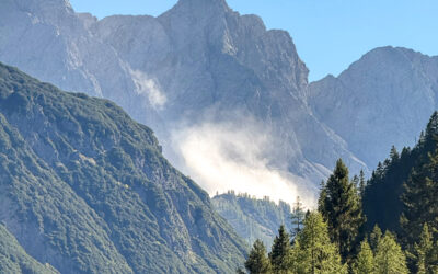 Waldbrand